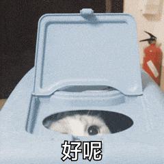 DƬ
